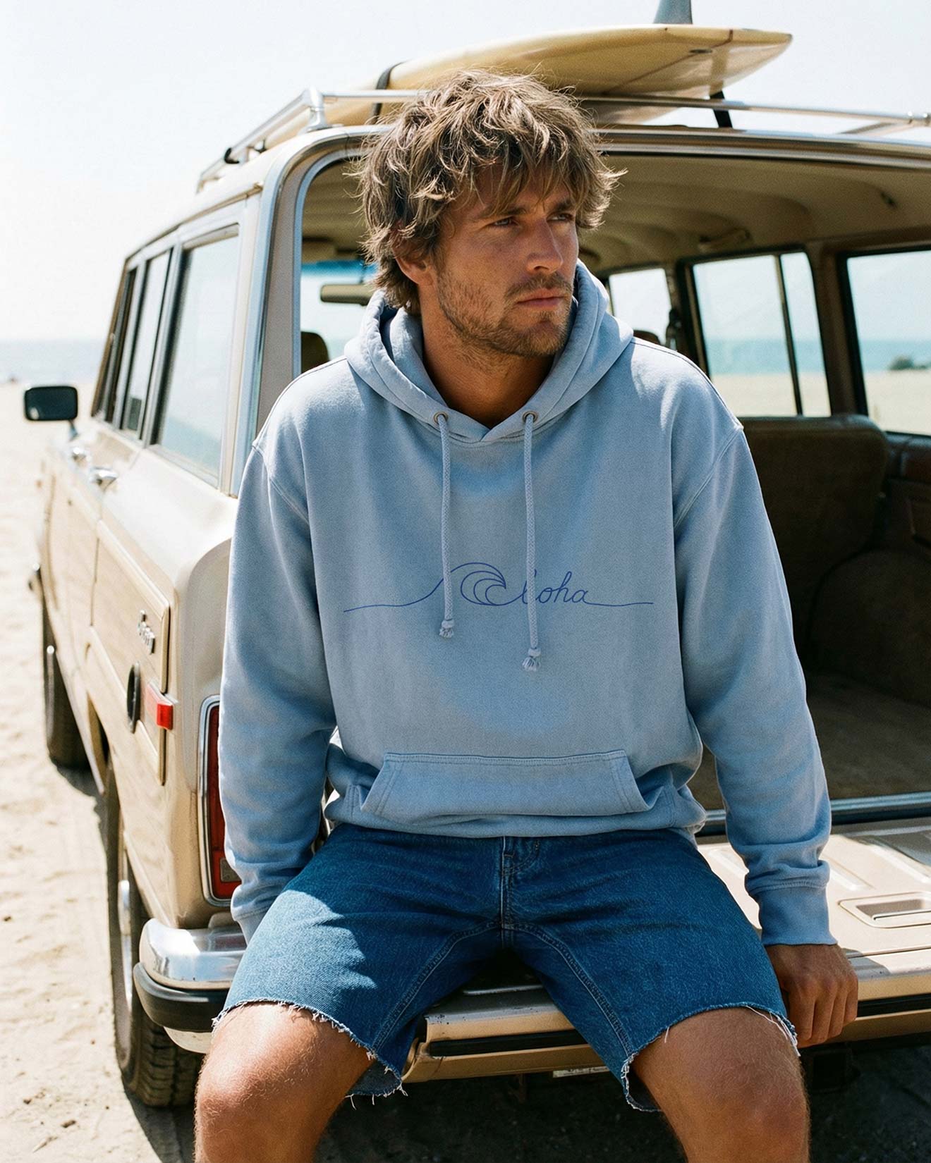 SURF ALOHA �ѡ����ʥ֥롼��